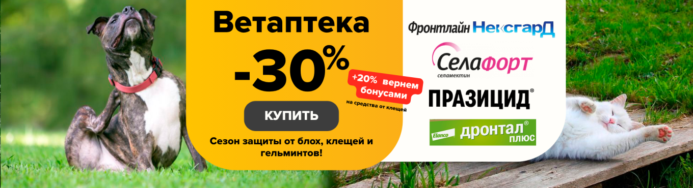 Ветаптека весна